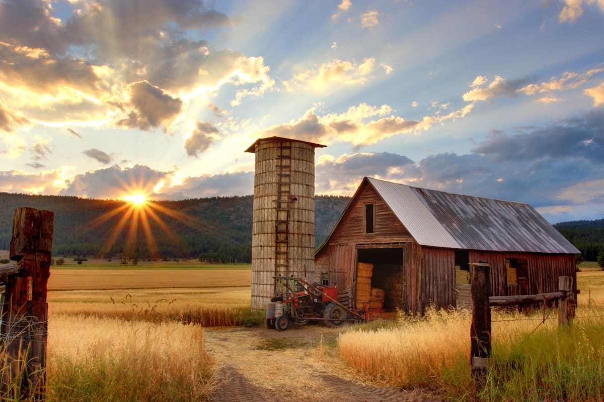 Domaće gazdinstvo - štala i silos u zlatnom svetlu zalaska sunca